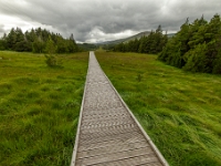 Isle of Lewis and Harris, Aline Community Woodland
